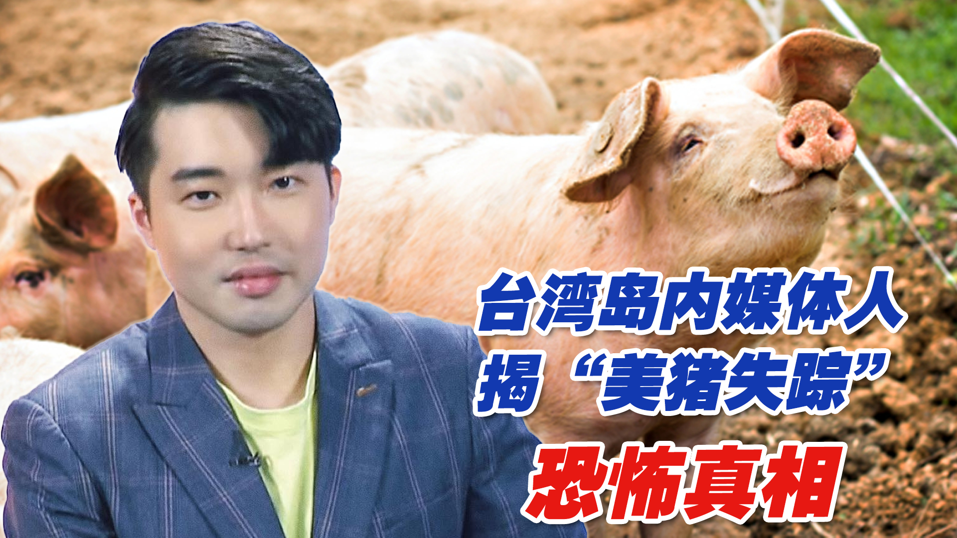 台湾市面上3000吨“美猪失踪”？ 岛内媒体人揭恐怖真相