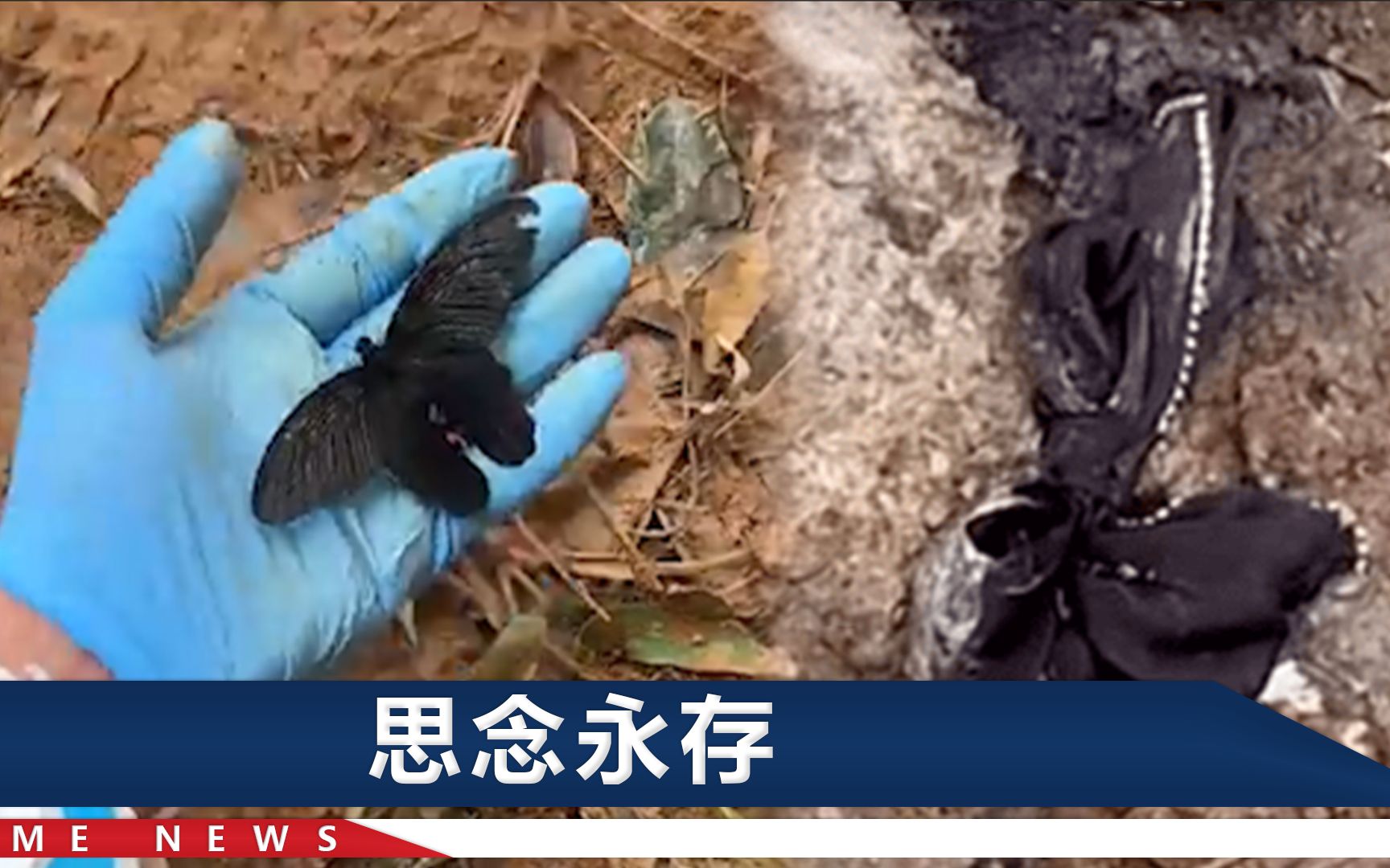 东航MU5735事故现场，救援人员托起一只黑色蝴蝶，它会找到想念的人吗