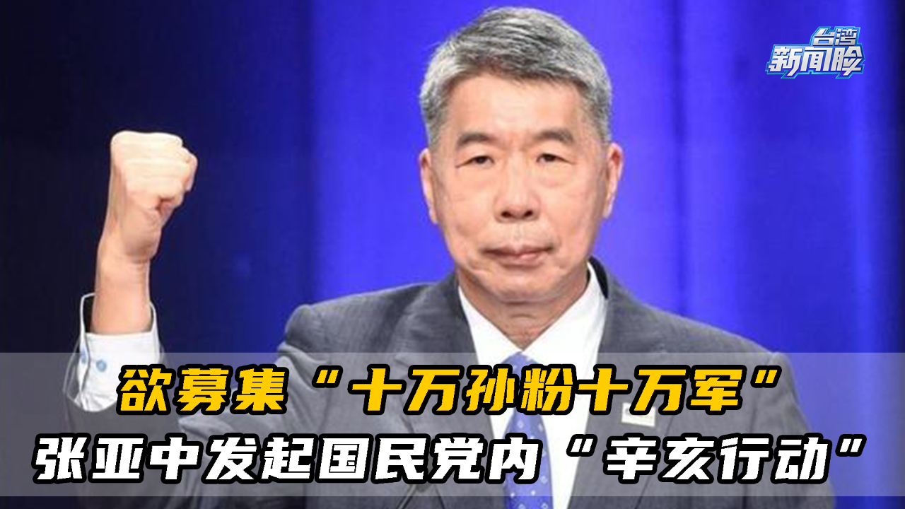 欲募集“十万孙粉十万军”，张亚中发起国民党内“辛亥行动”