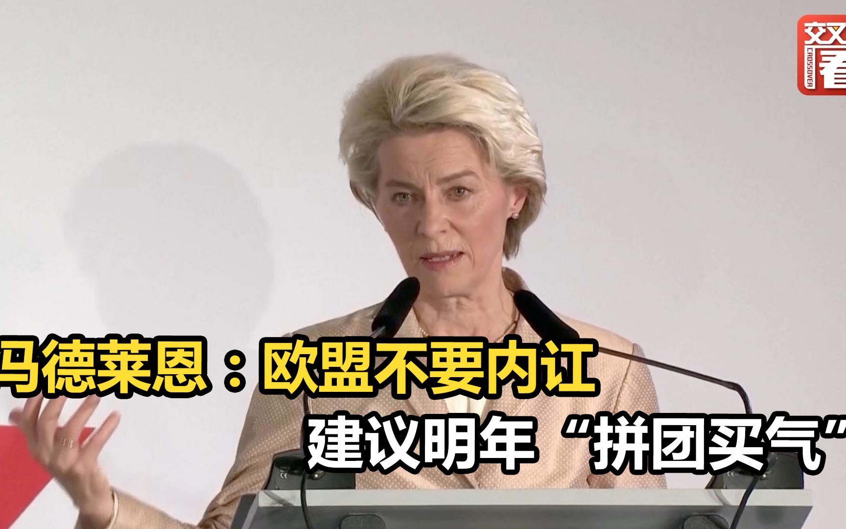 冯德莱恩：欧盟不要内讧，建议明年“拼团买气”