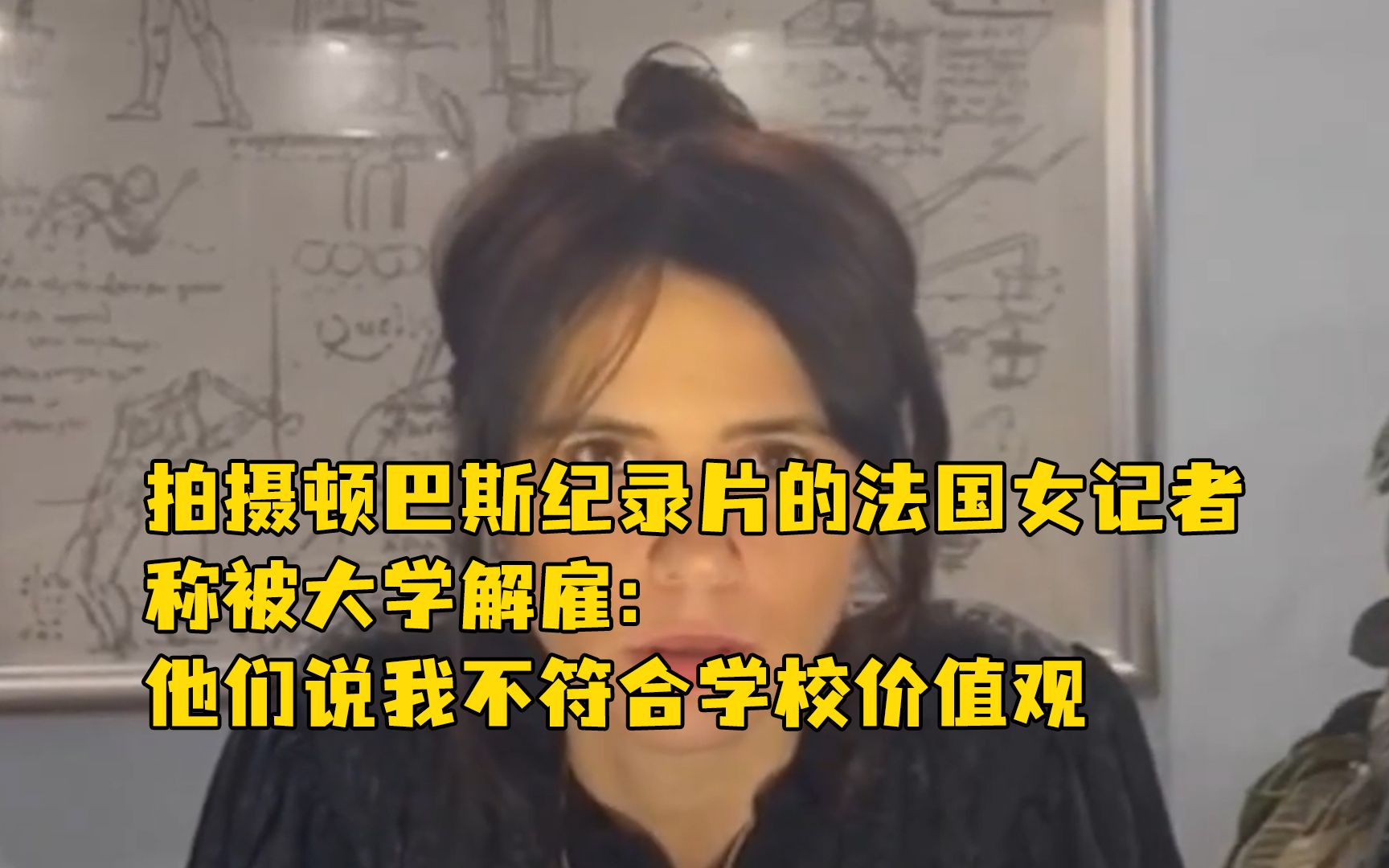 拍摄顿巴斯纪录片的法国女记者称被大学解雇：他们说我不符合学校价值观