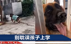 男子乱扔烟头点燃垃圾桶，网红狗糯米“骂”了两句，赶紧回来灭火