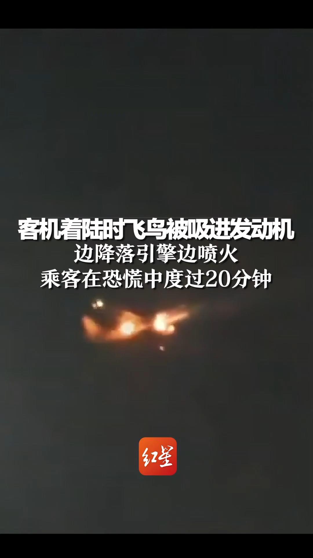 客机着陆时飞鸟被吸进发动机，边降落引擎边喷火，乘客在恐慌中度过20分钟