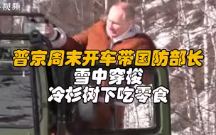 俄媒：普京周末开车带国防部长雪中穿梭，冷杉树下吃零食