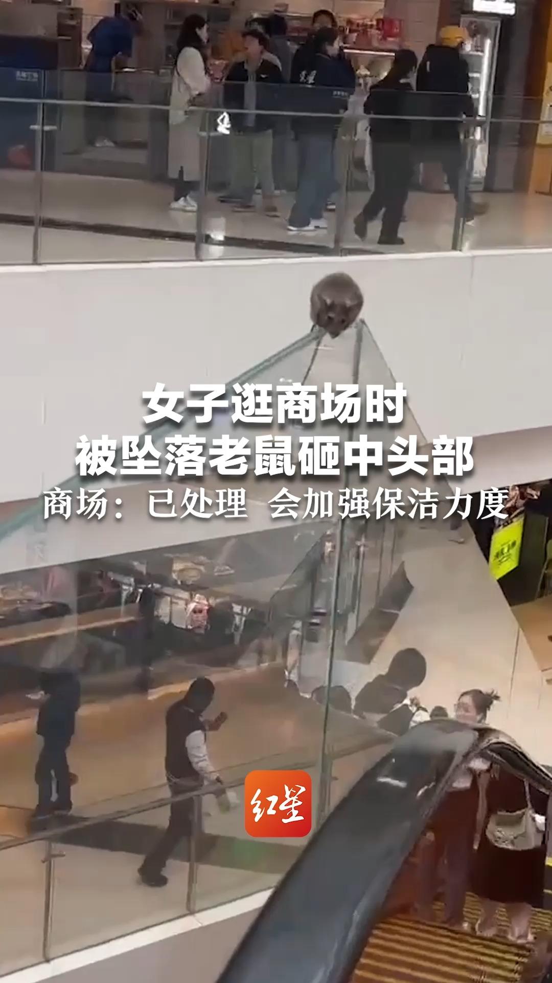 女子逛商场时 被坠落老鼠砸中头部 商场：已处理 会加强保洁力度