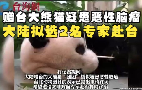 赠台大熊猫疑罹患恶性脑瘤 国台办： 大陆拟选派2名专家赴台 参与“团团”治疗工作
