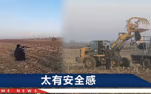 辽宁辽阳一疯牛在村里乱窜，特警大队派出2名狙击手，一枪击毙！