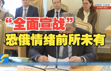 拉夫罗夫:西方已向俄罗斯"全面宣战" 恐俄情绪前所未有