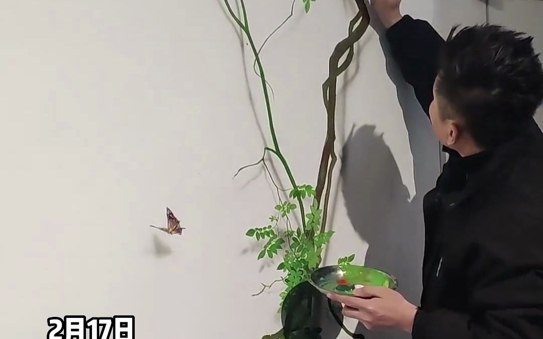 男子自学三年裸眼3D墙绘，手绘凌霄花以假乱真。“最难的是阴影的处理”