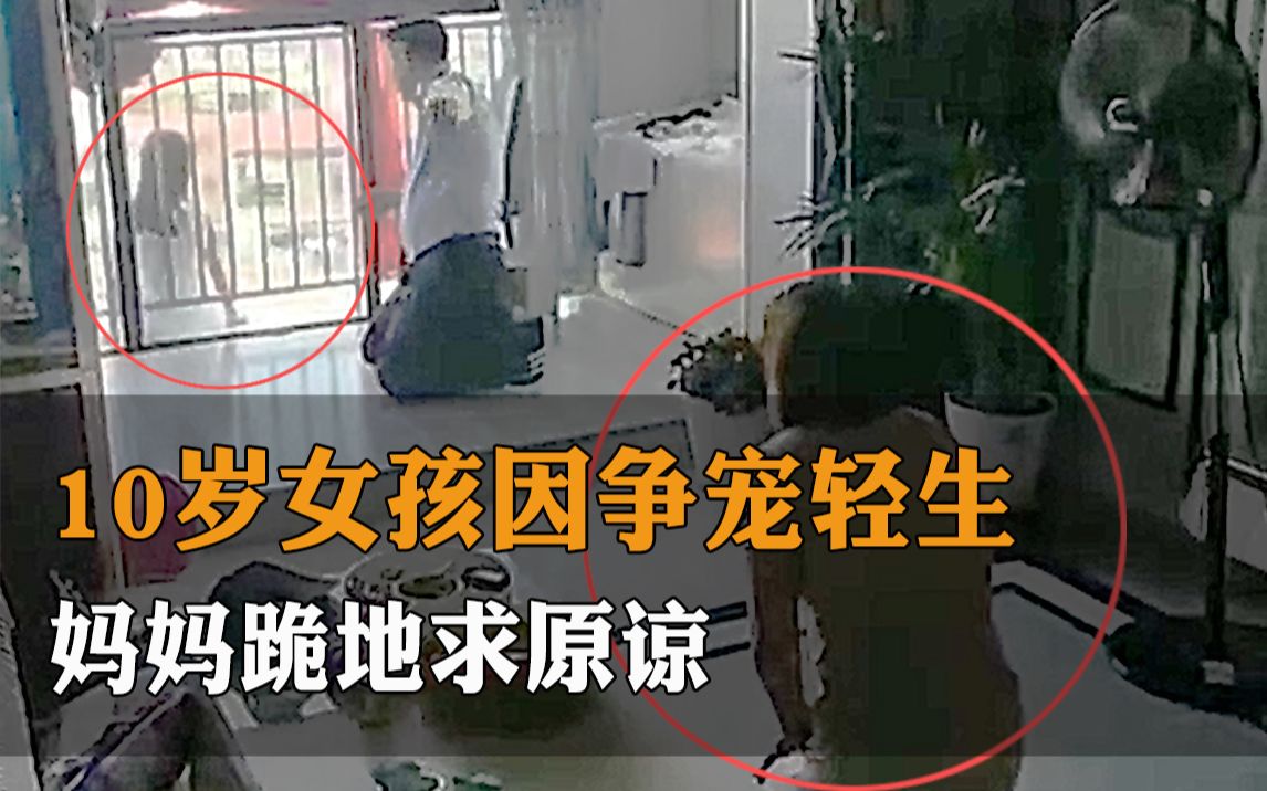 10岁女孩和姐姐争宠欲跳楼，妈妈跪地求原谅：妈妈会改的， 姐姐有的你也有