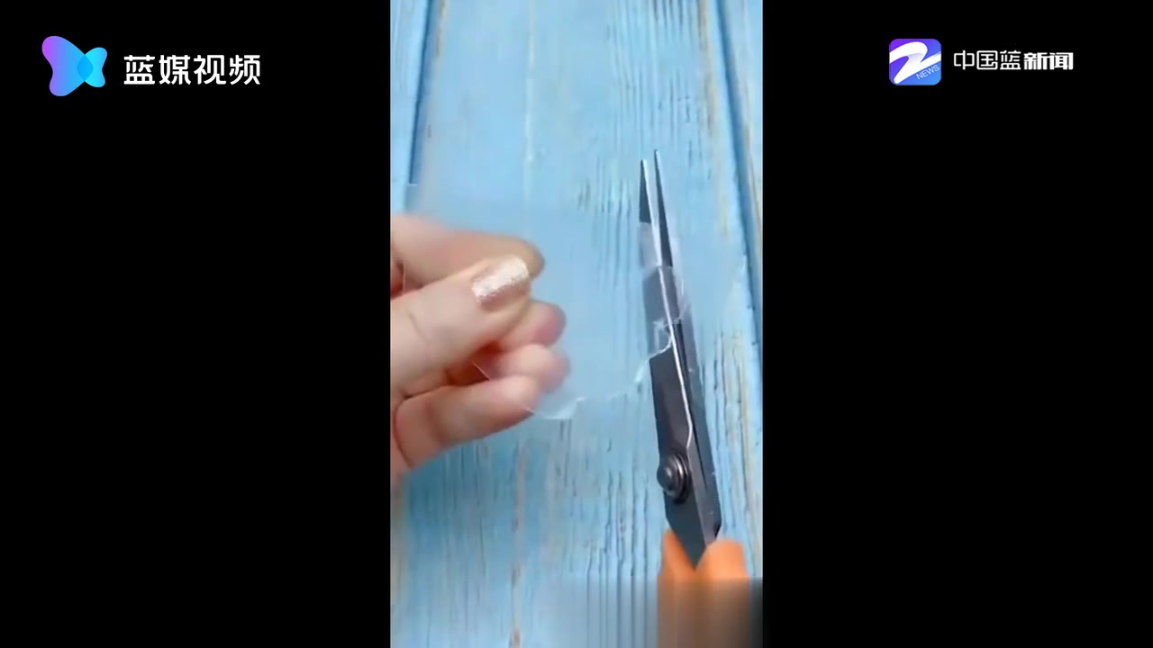 女子用塑料盒复刻昙花绽放 亮灯瞬间惊艳了