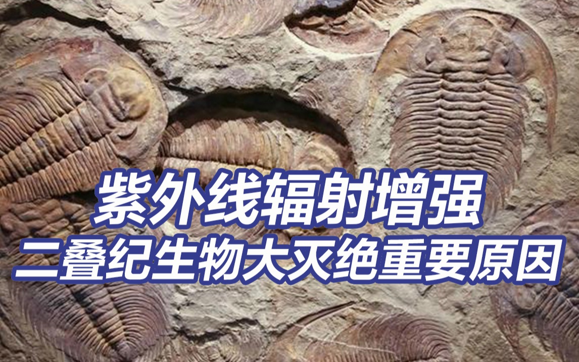 紫外线辐射增强是二叠纪生物大灭绝重要原因