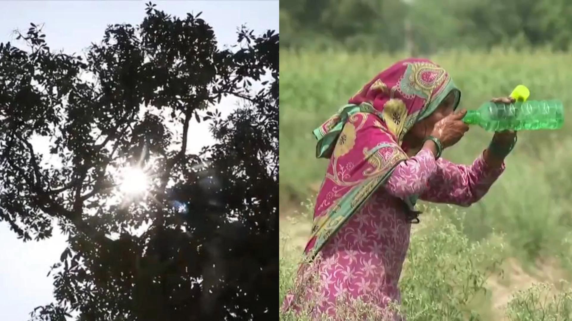 45.1°C！印度北部遭极端热浪侵袭：3天热死数十人 医院患者激增