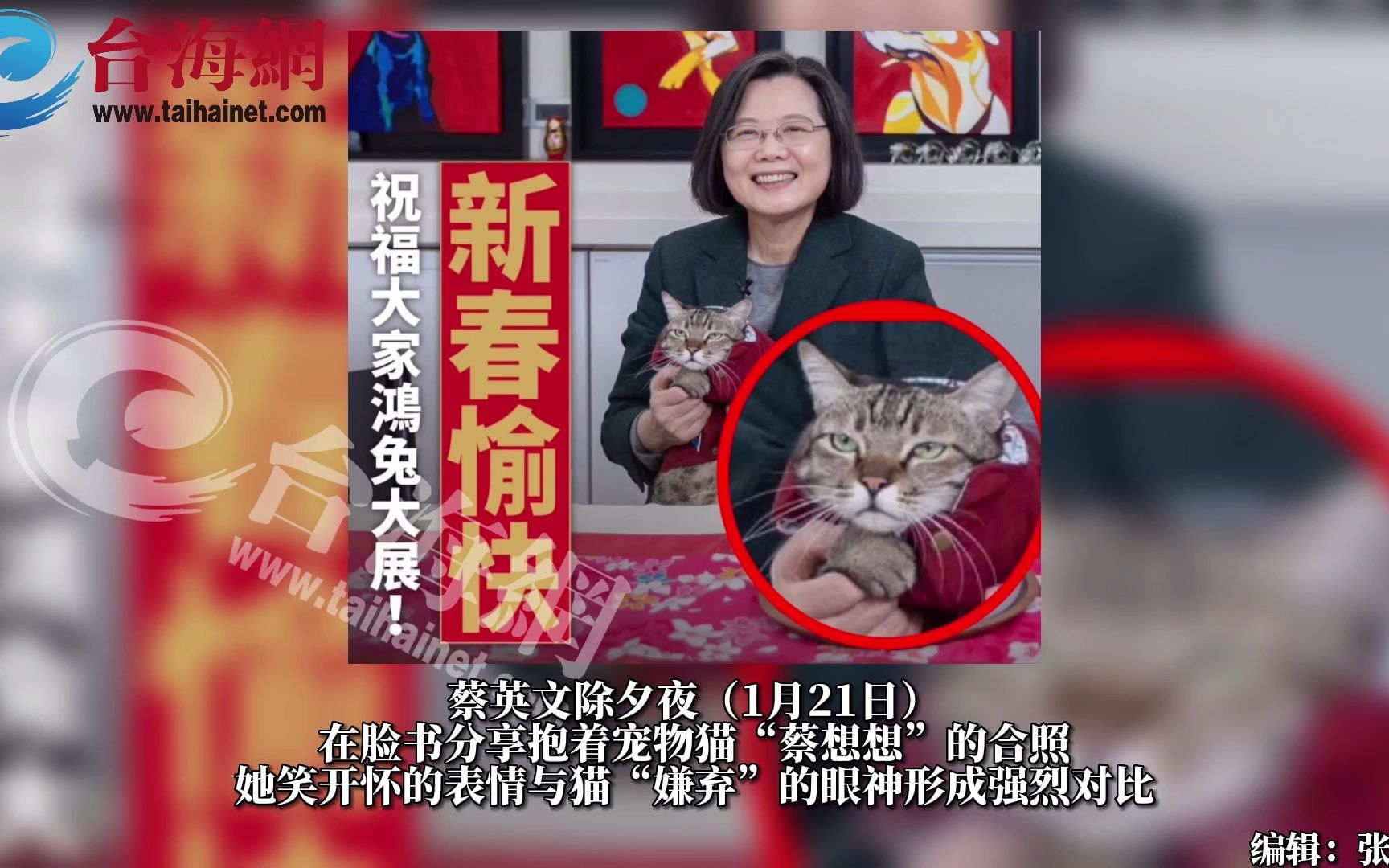 无人可用！民进党当局新"内阁"难产，蔡英文抱猫拜年引嘲讽