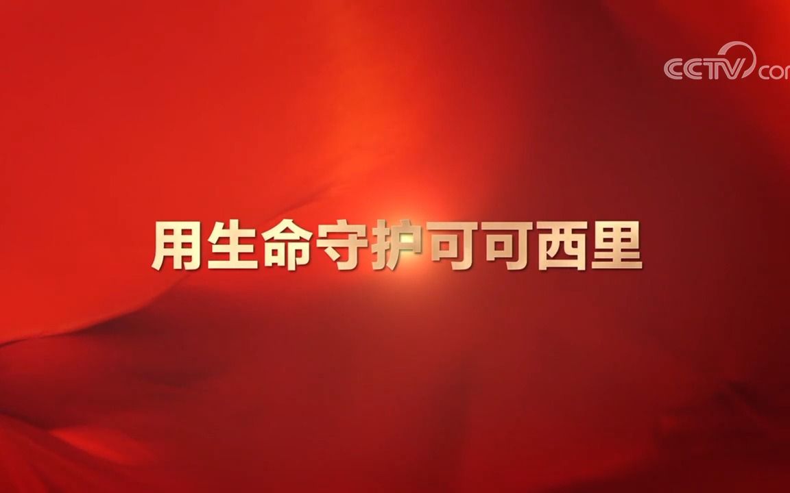 《领航》系列短视频：他们拼命守护藏羚羊