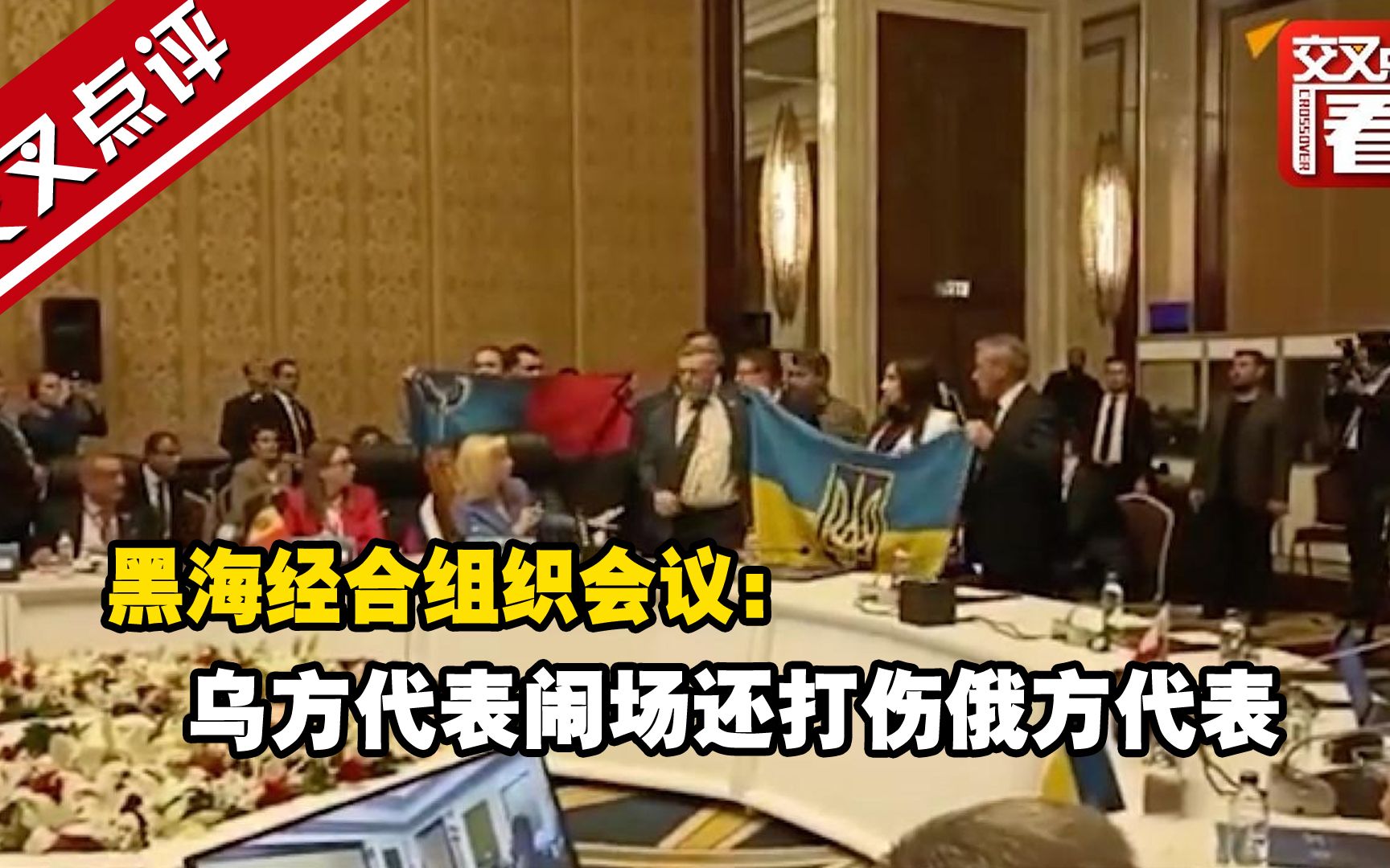 黑海经合组织会议：乌方代表闹场还打伤俄方代表