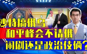 沙特请30多国参与，为啥不请俄罗斯？所谓俄乌安全峰会能谈出啥？