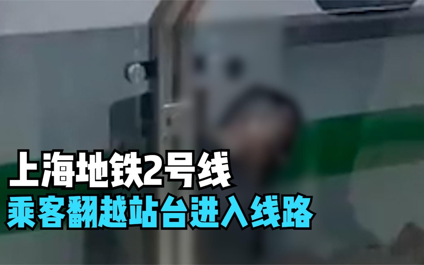 上海地铁2号线乘客翻越站台进入线路 涉事男子已身亡