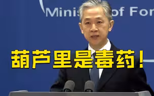 外交部揭批美国民主基金会：价值观渗透、颠覆别国政权、煽动反政府运动