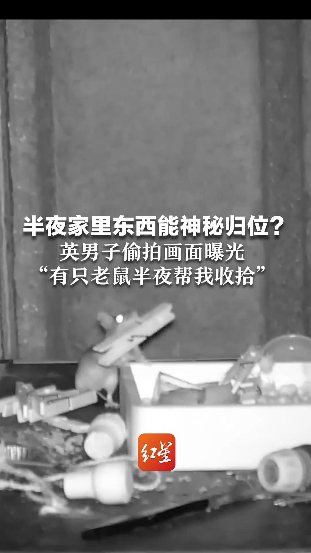半夜家里东西能神秘归位？英男子偷拍画面曝光 “有只老鼠半夜帮我收拾”