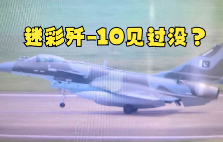 迷彩歼-10见过没？