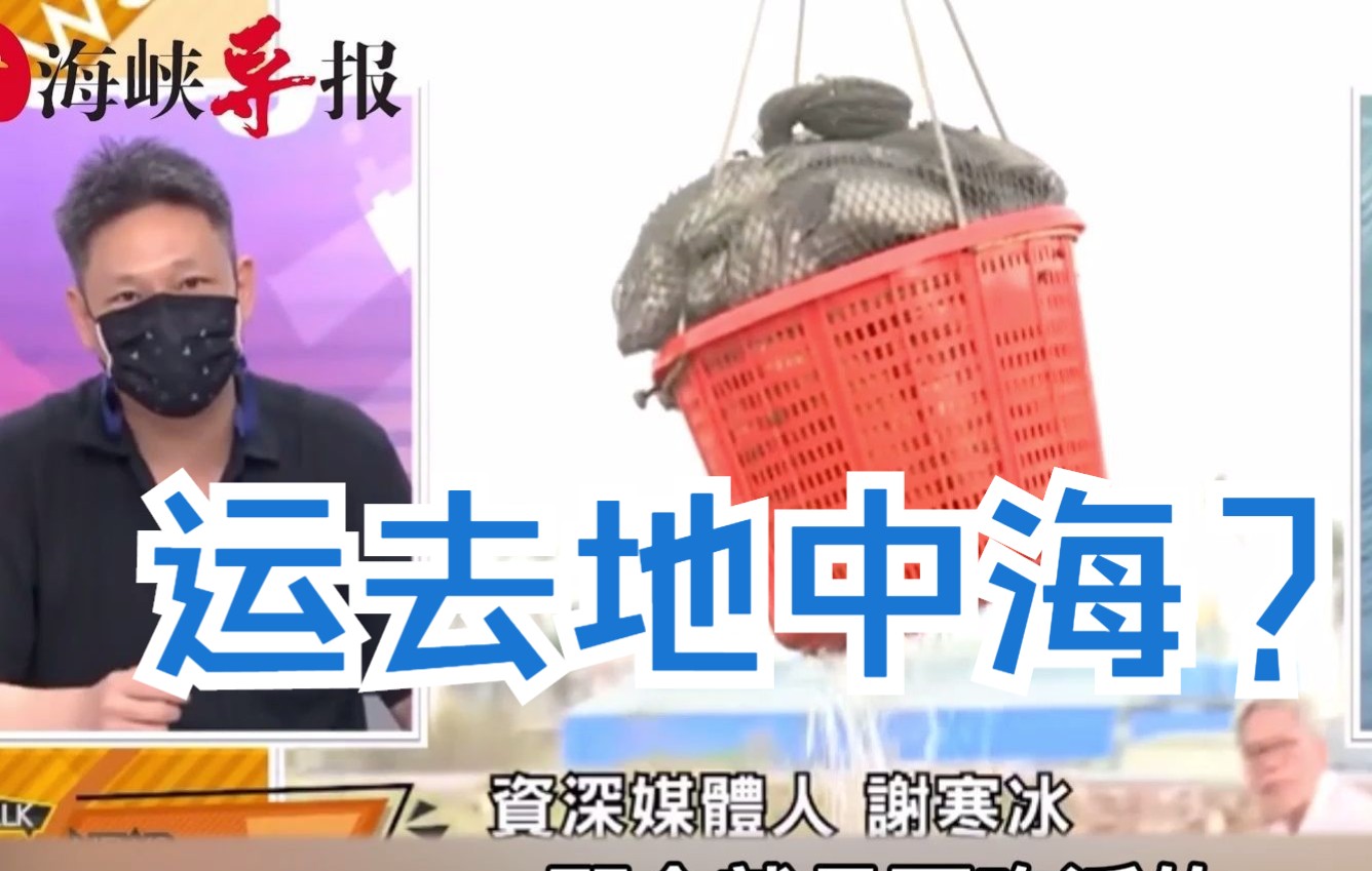 除了华人根本不吃石斑鱼！谢寒冰：没了大陆市场，台湾外销就完了