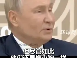 普京直言：在中国问题上，欧洲就是美国拴着皮带的小狗