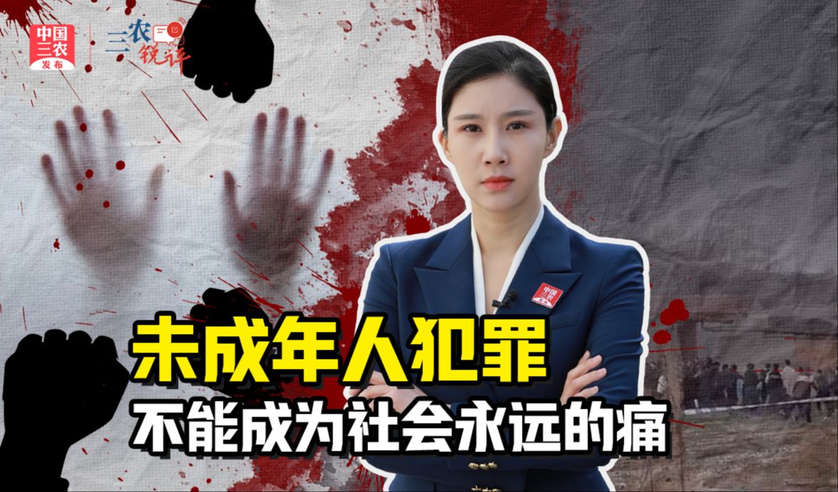三农锐评丨邯郸初中生遭3名同学残忍杀害 未成年人犯罪不能成为社会永远的痛