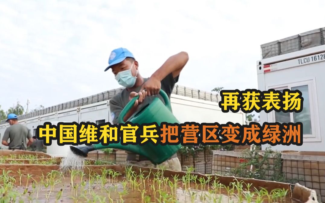 再获表扬！中国维和官兵把营区变成绿洲