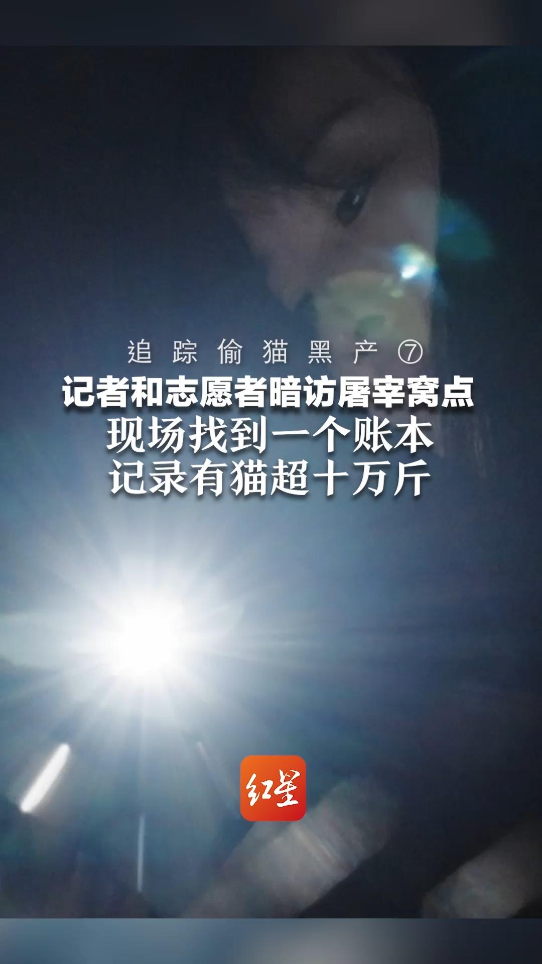 追踪偷猫黑产⑦ 记者和志愿者暗访屠宰窝点，现场找到一个账本，记录有猫超十万斤