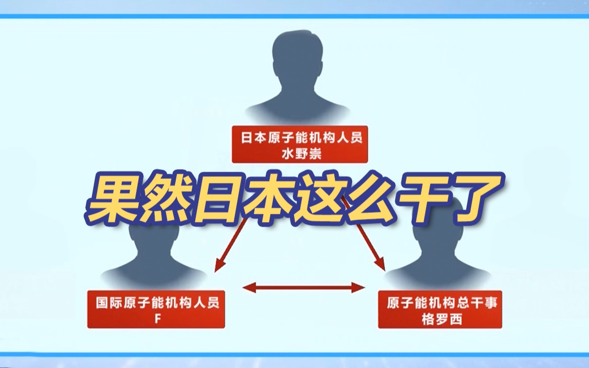 曝日本政府用政治献金搞定国际原子能机构报告