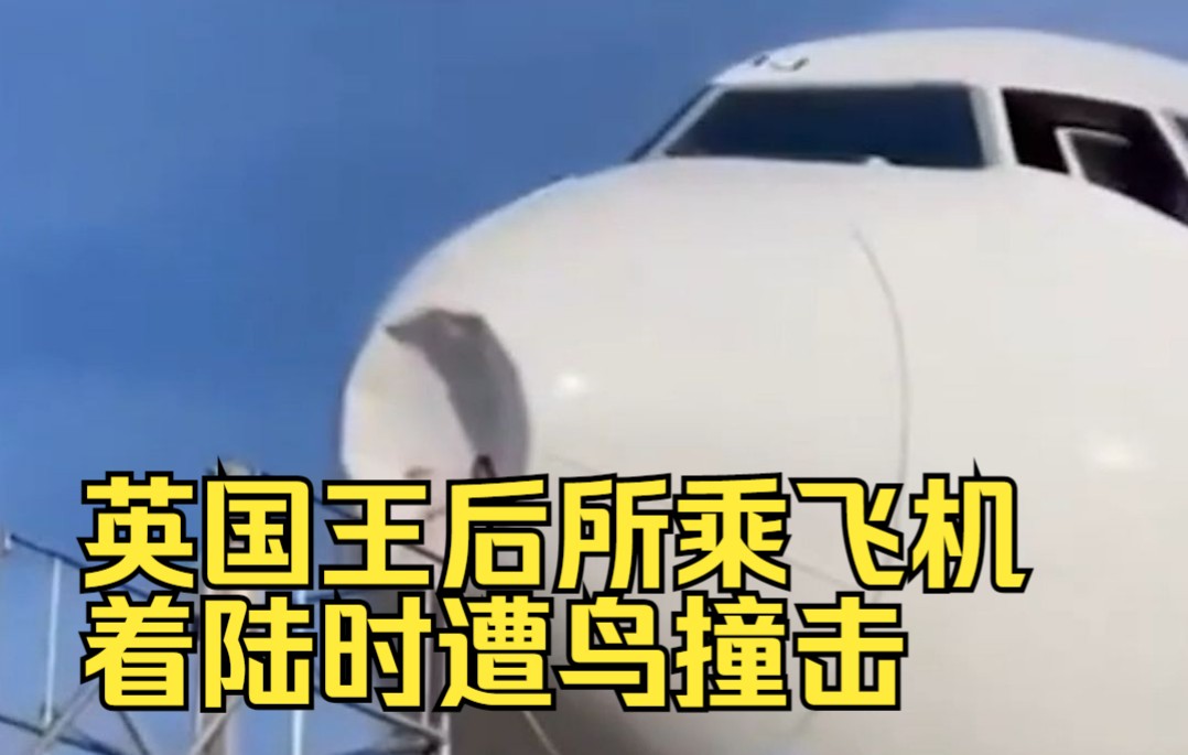 英国王后所乘飞机着陆时遭鸟撞击，机头一个大坑