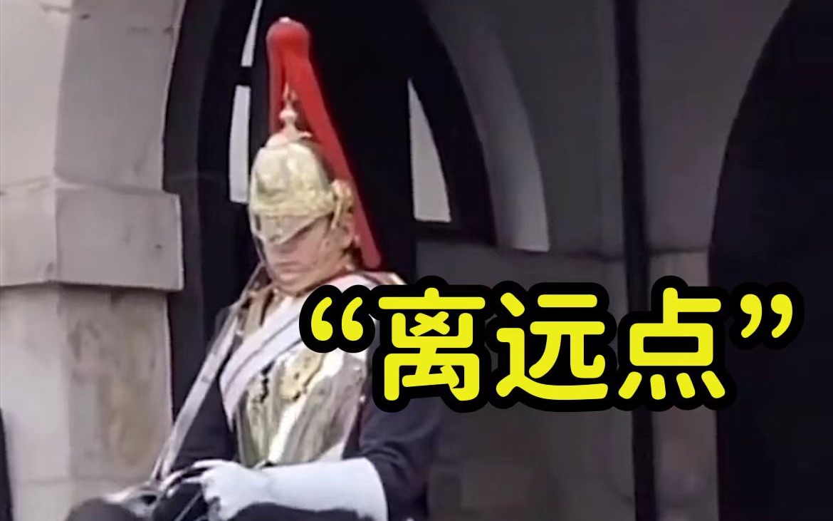 英女王卫兵朝合影游客大吼：离远点，不要触碰缰绳