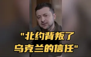 乌总统称北约背叛了乌克兰的信任