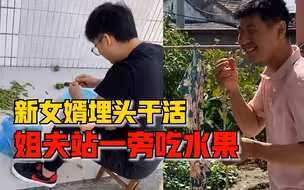 新女婿埋头干活姐夫站一旁吃水果，网友：终于找到人来接班了