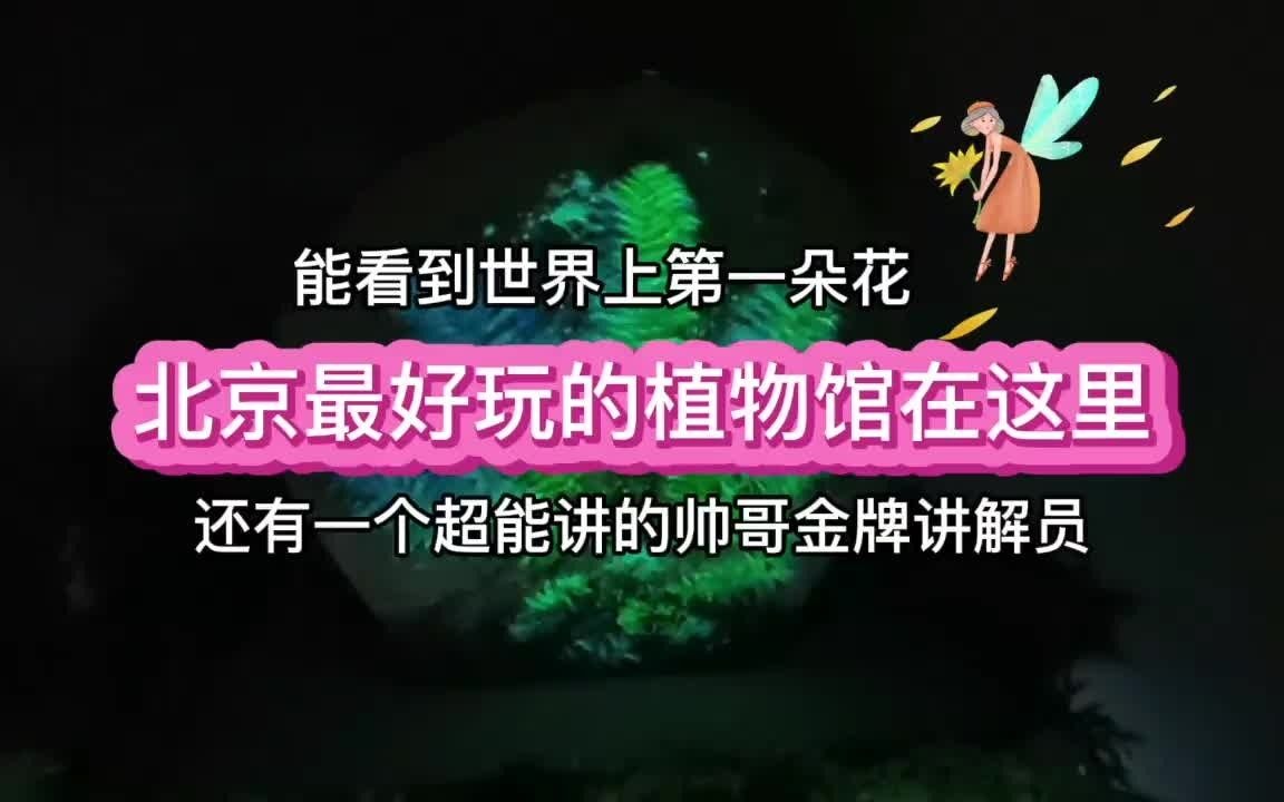 快来看！世界上“第一朵花”长这样