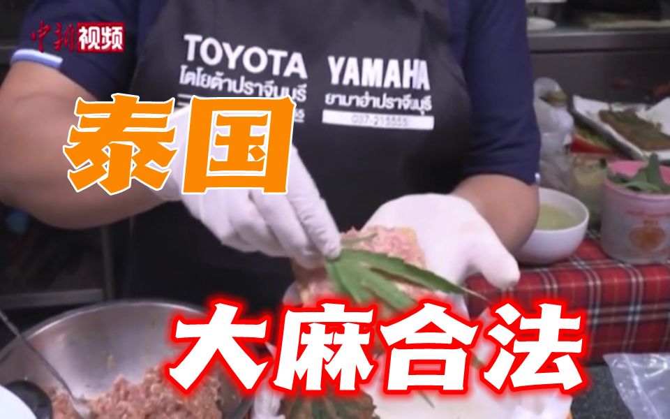泰国成亚洲首个大麻合法化国家