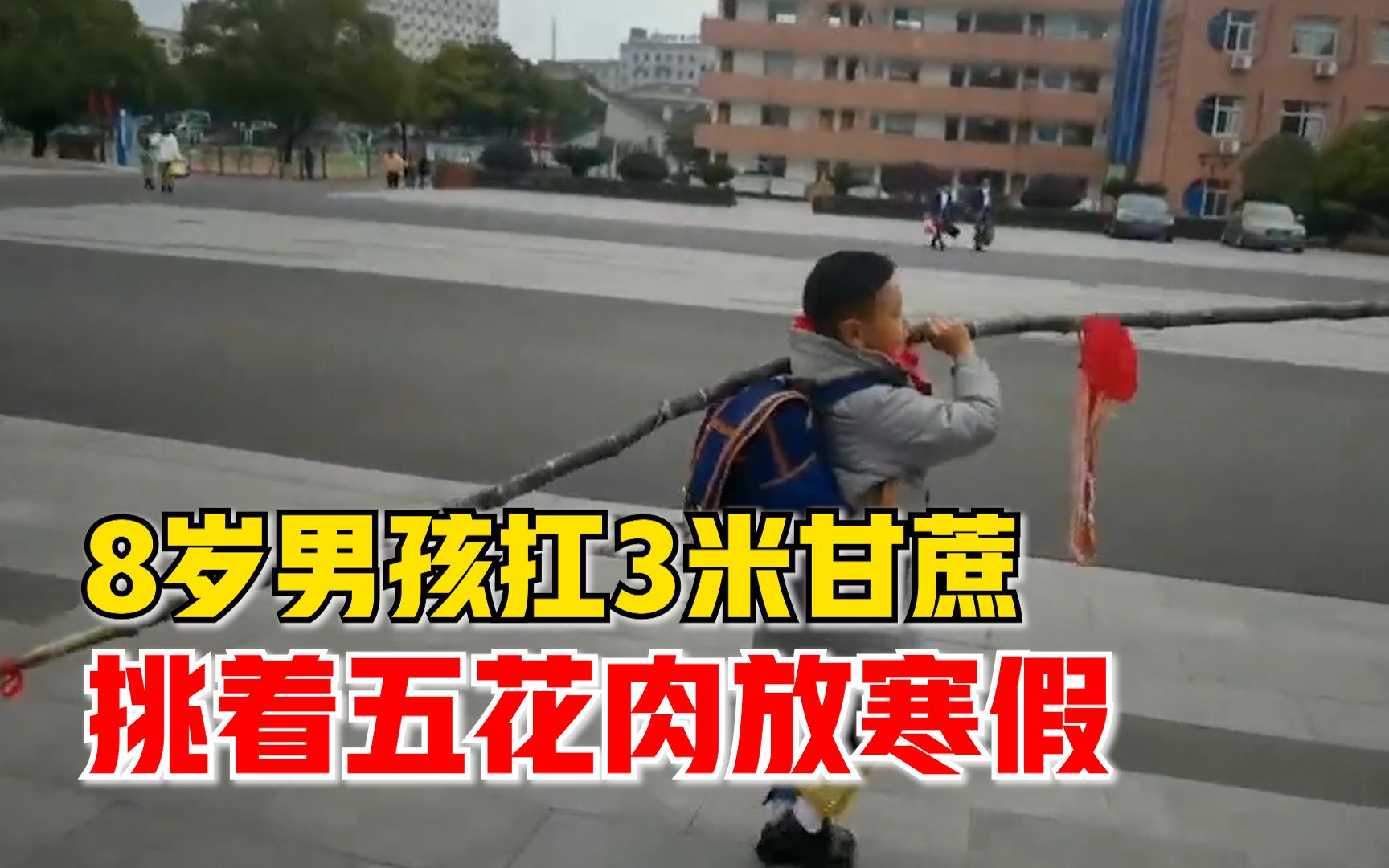 8岁男孩扛3米甘蔗挑着五花肉放寒假，妈妈：他被评为三好学生了