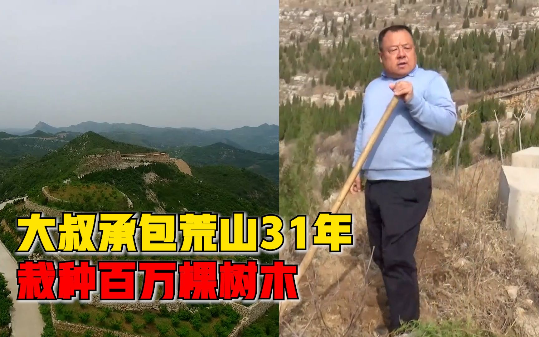 大叔承包荒山31年栽种百万棵树木：头发白了树青了，感觉很值得