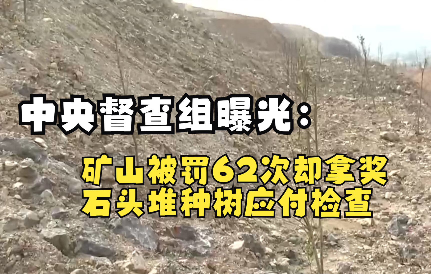 中央督查组曝光：矿山被罚62次却拿奖 石头堆种树应付检查