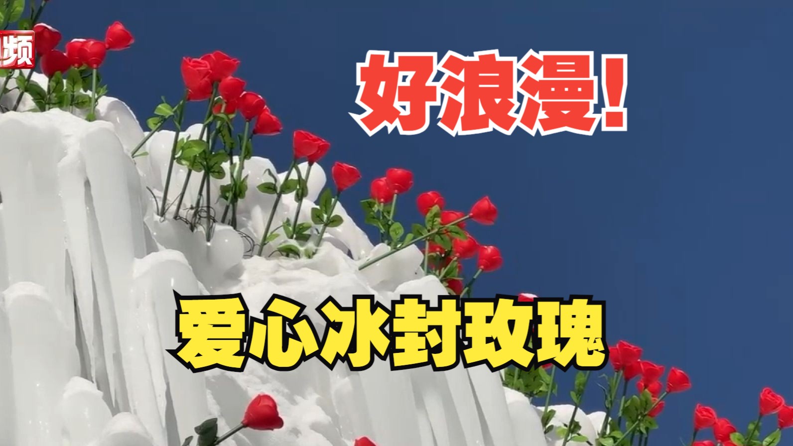 闯入童话世界？长白山“爱心冰封玫瑰”浪漫十足
