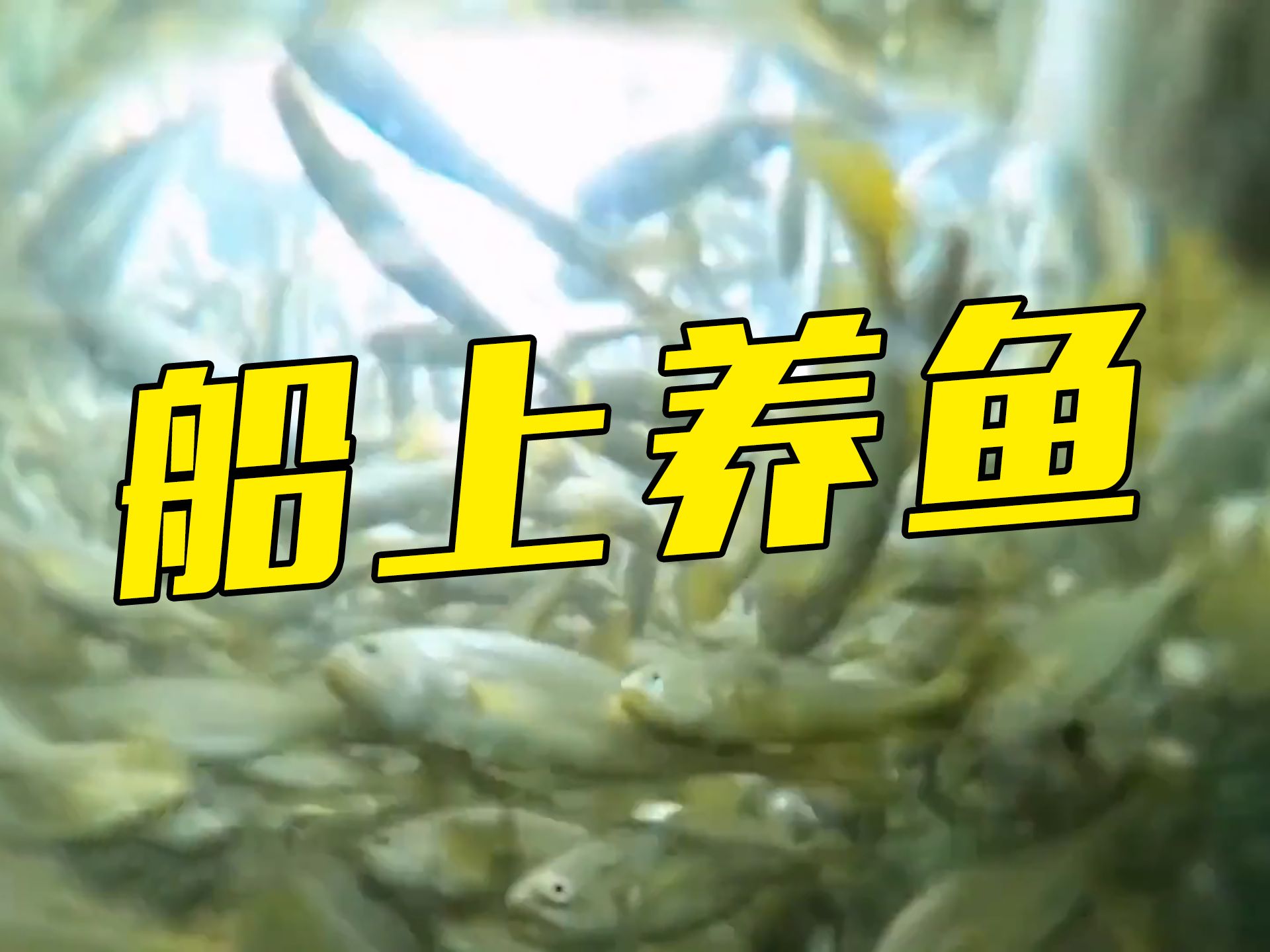全球首艘10万吨级智慧养殖工船什么样？