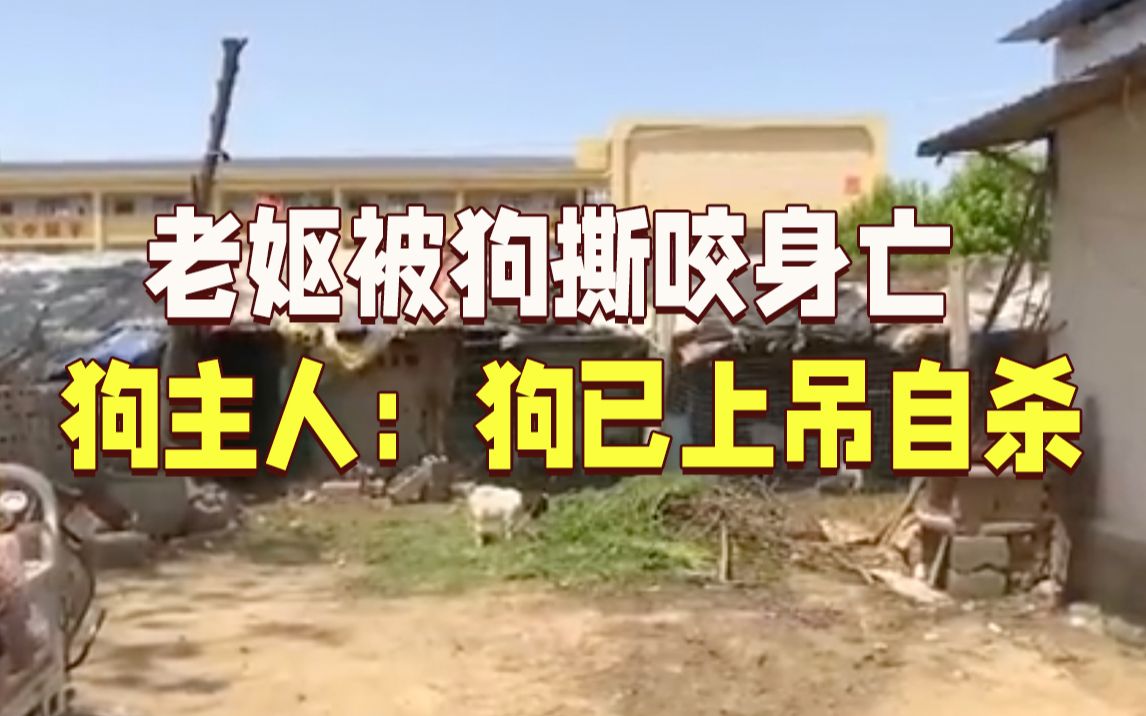 68岁老妪被邻居家狗撕咬身亡 狗主人：狗已上吊自杀