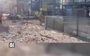 基辅巷战已打响 基辅市长称 至少35人在交火中丧生
