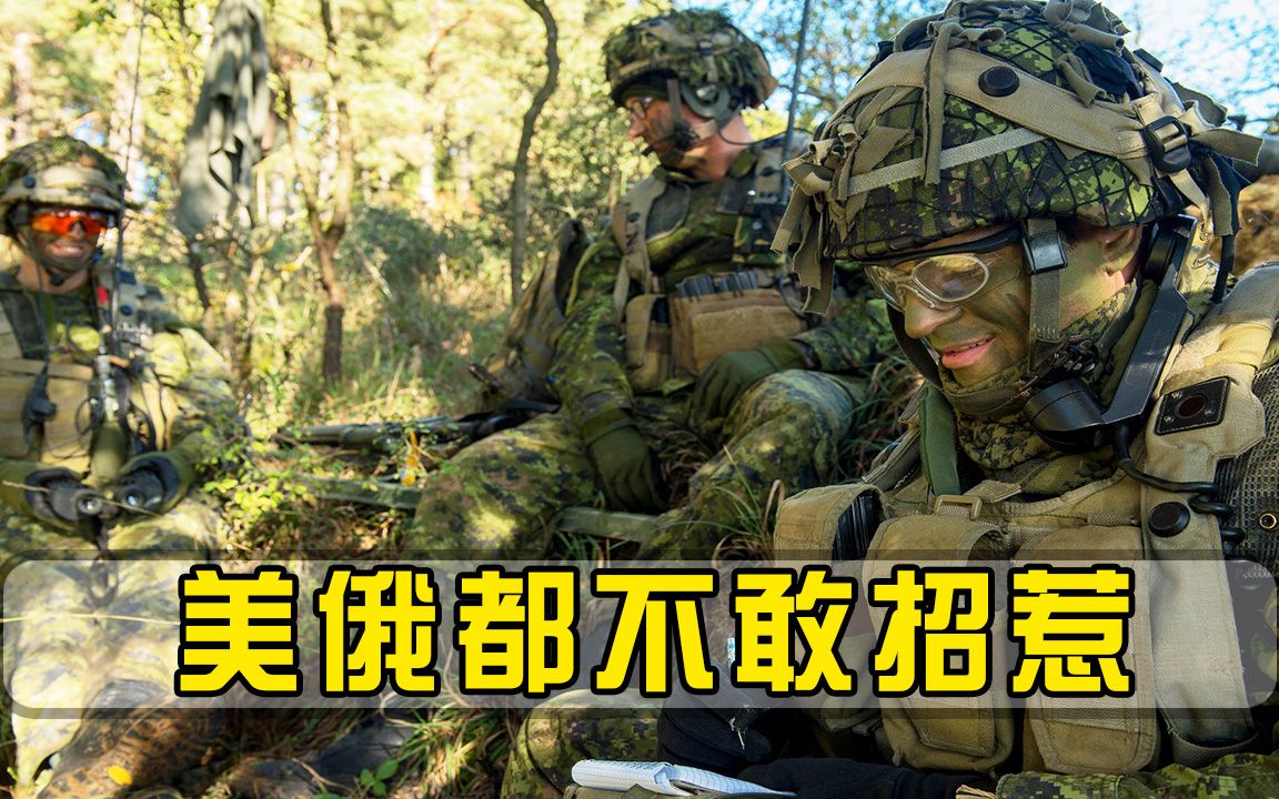 加拿大只有6万兵力，充当美俄天然屏障，任何国家不敢贸然进攻