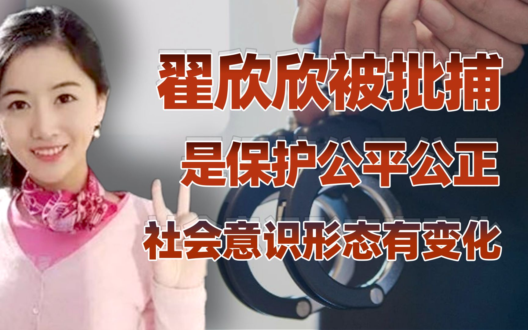 【卢克文工作室】从翟欣欣被批捕，看社会意识形态的一些变化！