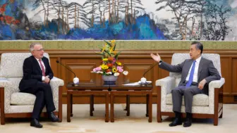 王毅：中欧是伙伴不是对手 更不是制度性对手