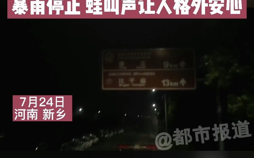 都市报道【暴雨停止后的蛙叫声，原来这么让人安心】