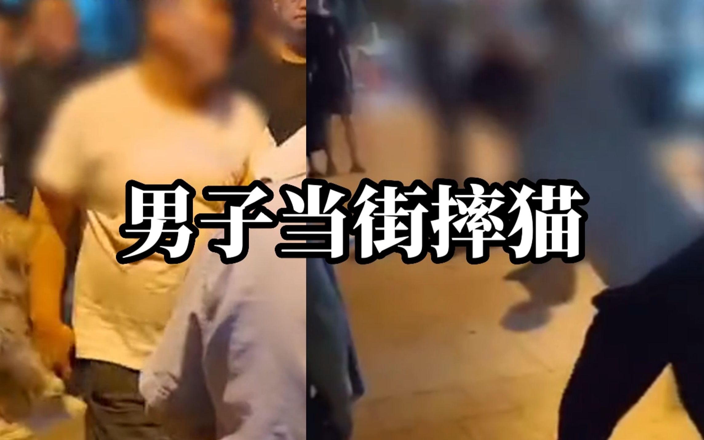 小孩在路边摊偷偷买猫，家长去找商家退猫遭拒当场将猫摔死