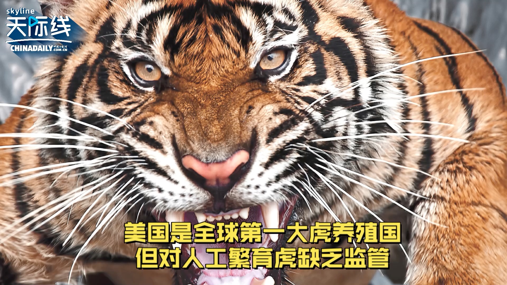 到底谁才是全球环境的最大威胁者？事实胜于雄辩 公道自在人心